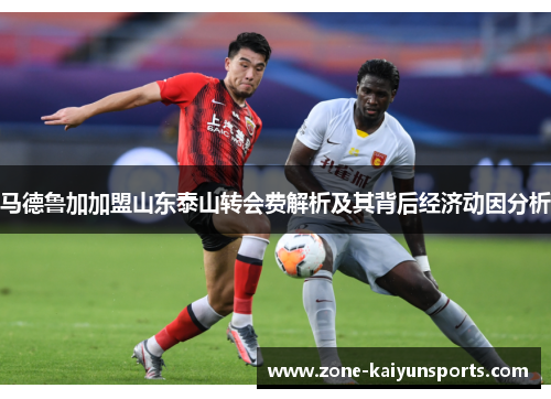 马德鲁加加盟山东泰山转会费解析及其背后经济动因分析