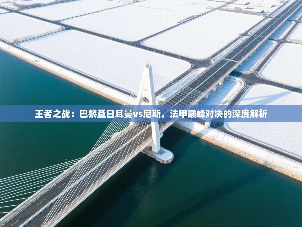 王者之战：巴黎圣日耳曼vs尼斯，法甲巅峰对决的深度解析  第2张